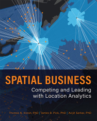 Cover image: Spatial Business 9781589485334