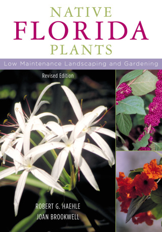 表紙画像: Native Florida Plants 9781589790513