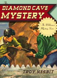 Cover image: The Diamond Cave Mystery 9781589798090
