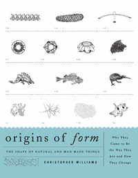 Immagine di copertina: Origins of Form 9781589798083