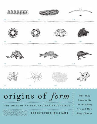 Cover image: Origins of Form 9780942655100