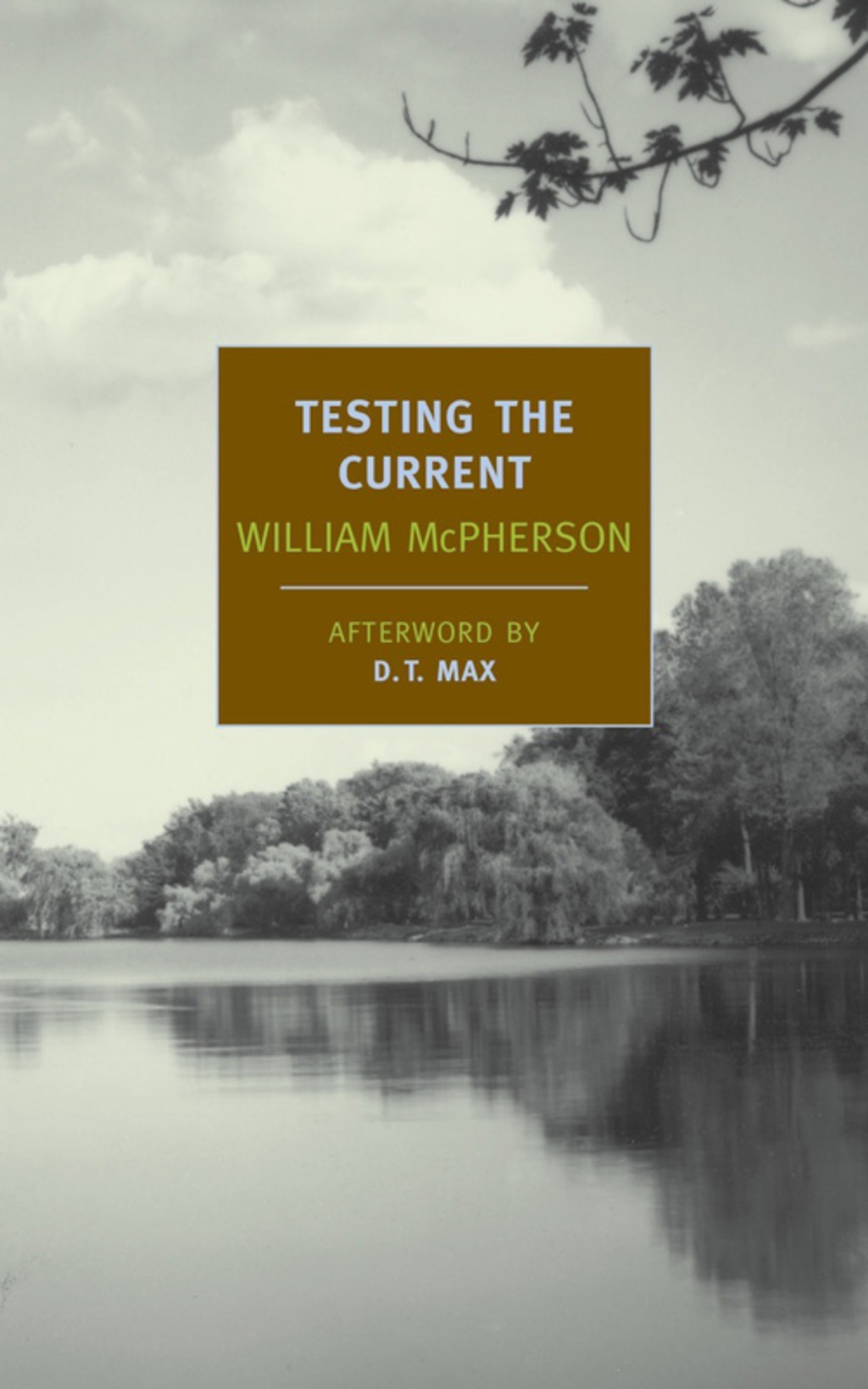 Testing the Current (eBook)