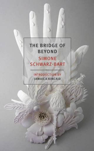 Cover image: The Bridge of Beyond 9781590176801