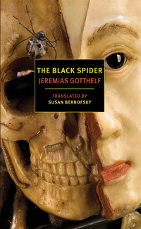 Cover image: The Black Spider 9781590176689