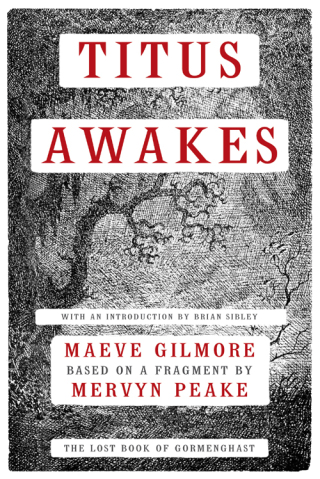 Cover image: Titus Awakes 9781468300604