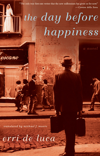 Cover image: The Day Before Happiness 9781590514818