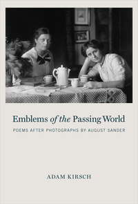 Cover image: Emblems of the Passing World 9781590517345
