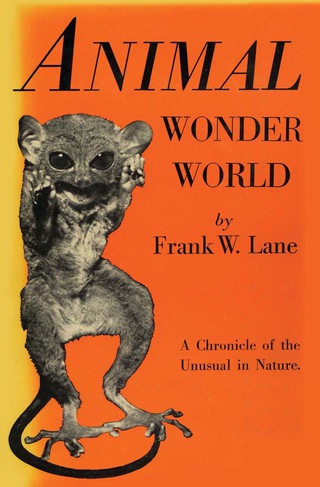 Imagen de portada: Animal Wonder World 9781590774441