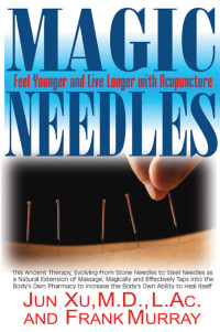 Cover image: Magic Needles 9781681627502