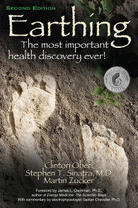 Cover image: Earthing 2nd edition 9781591203742