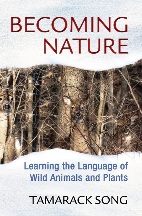 Becoming Nature: Learning the Language of Wild Animals and Plants - FULL INSTANT DOWNLOAD | PDF DOCX EPUB