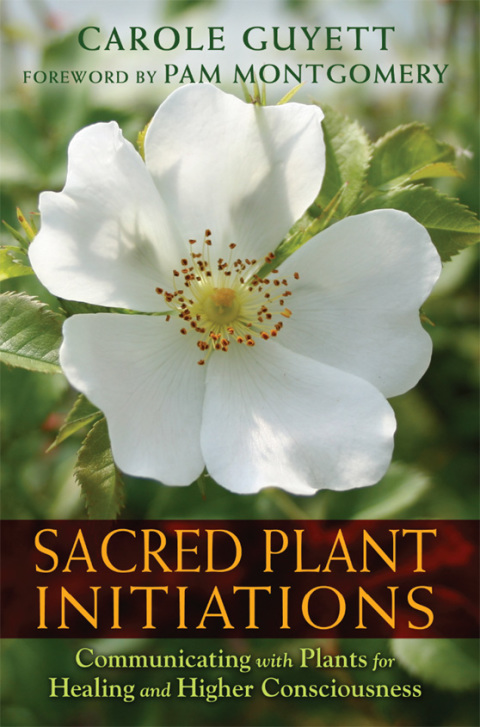 Sacred Plant Initiations: Communicating with Plants for Healing and Higher Consciousness - FULL INSTANT DOWNLOAD | PDF DOCX EPUB