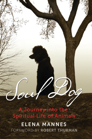Cover image: Soul Dog 9781591433262