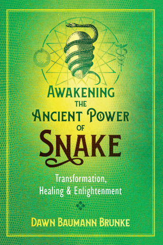 Cover image: Awakening the Ancient Power of Snake 9781591433606