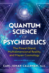 Cover image: Quantum Science of Psychedelics 9781591433620