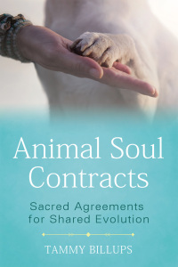 Cover image: Animal Soul Contracts 9781591433644