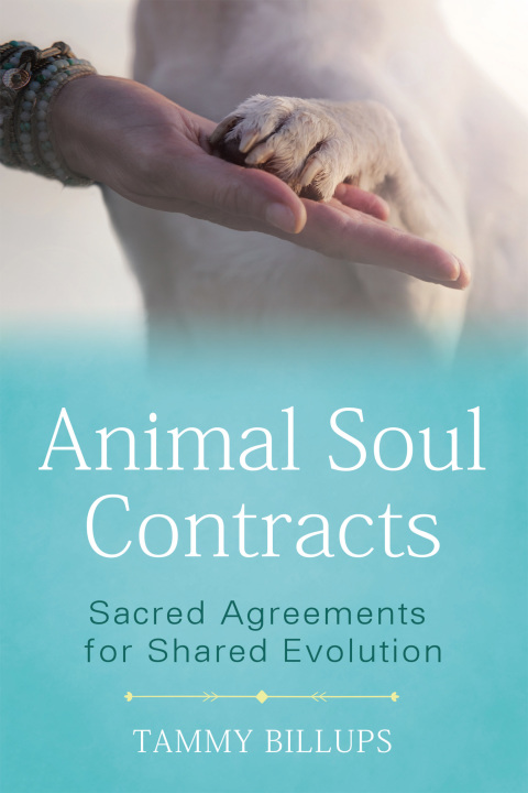 Animal Soul Contracts: Sacred Agreements for Shared Evolution - FULL INSTANT DOWNLOAD | PDF DOCX EPUB