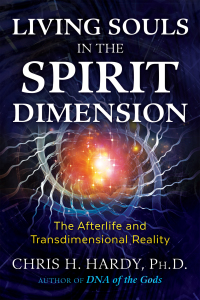 Cover image: Living Souls in the Spirit Dimension 9781591433729