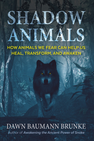 Cover image: Shadow Animals 9781591434573