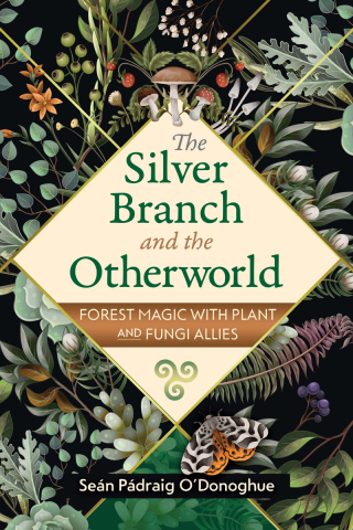 Cover image: The Silver Branch and the Otherworld 2nd edition 9781591434726