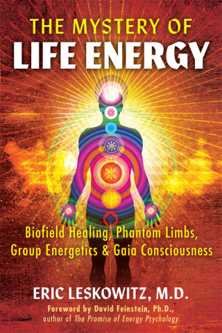 Cover image: The Mystery of Life Energy 9781591434863