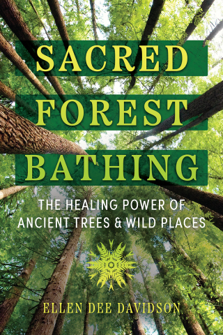 Cover image: Sacred Forest Bathing 9781591435471