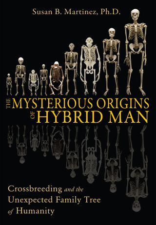 Cover image: The Mysterious Origins of Hybrid Man 9781591431763
