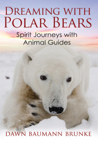 Cover image: Dreaming with Polar Bears 9781591431831