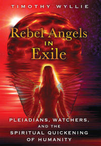 Cover image: Rebel Angels in Exile 9781591431886