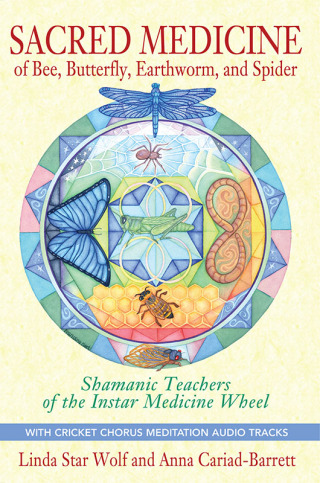 Cover image: Sacred Medicine of Bee, Butterfly, Earthworm, and Spider 9781591431497