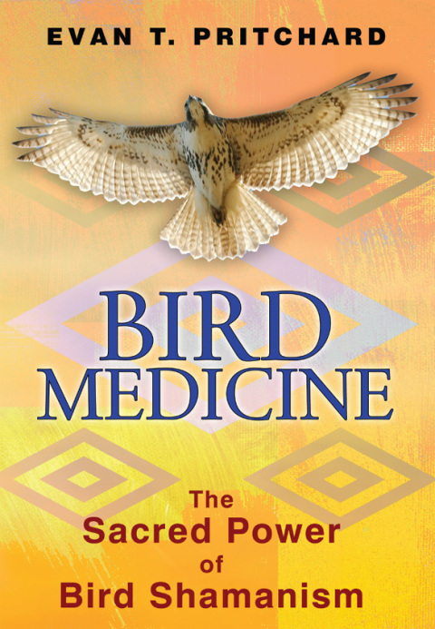 Bird Medicine: The Sacred Power of Bird Shamanism - FULL INSTANT DOWNLOAD | PDF DOCX EPUB