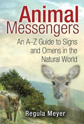 Cover image: Animal Messengers 9781591431619