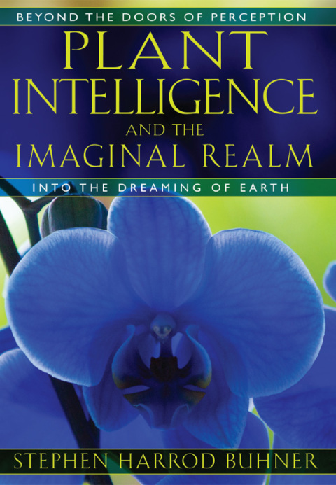 Plant Intelligence and the Imaginal Realm: Beyond the Doors of Perception into the Dreaming of Earth - FULL INSTANT DOWNLOAD | PDF DOCX EPUB