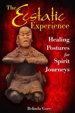 Cover image: The Ecstatic Experience 9781591430964