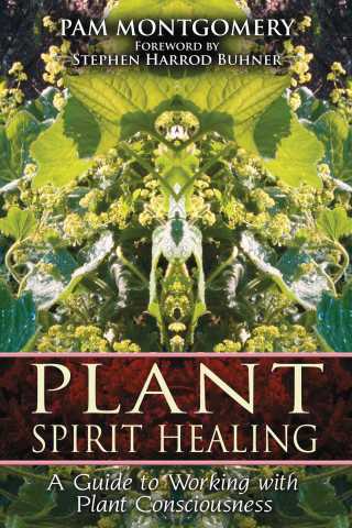 Cover image: Plant Spirit Healing 9781591430773