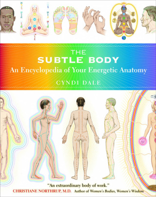Cover image: The Subtle Body 9781591796718