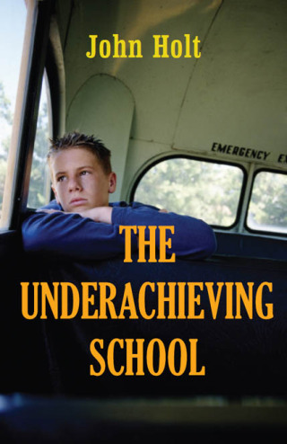 表紙画像: Underachieving School 9781591810384