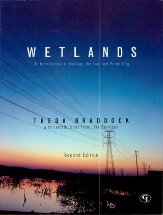 Cover image: Wetlands 2nd edition 9780865870185