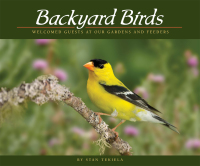 Imagen de portada: Backyard Birds 9781591936411