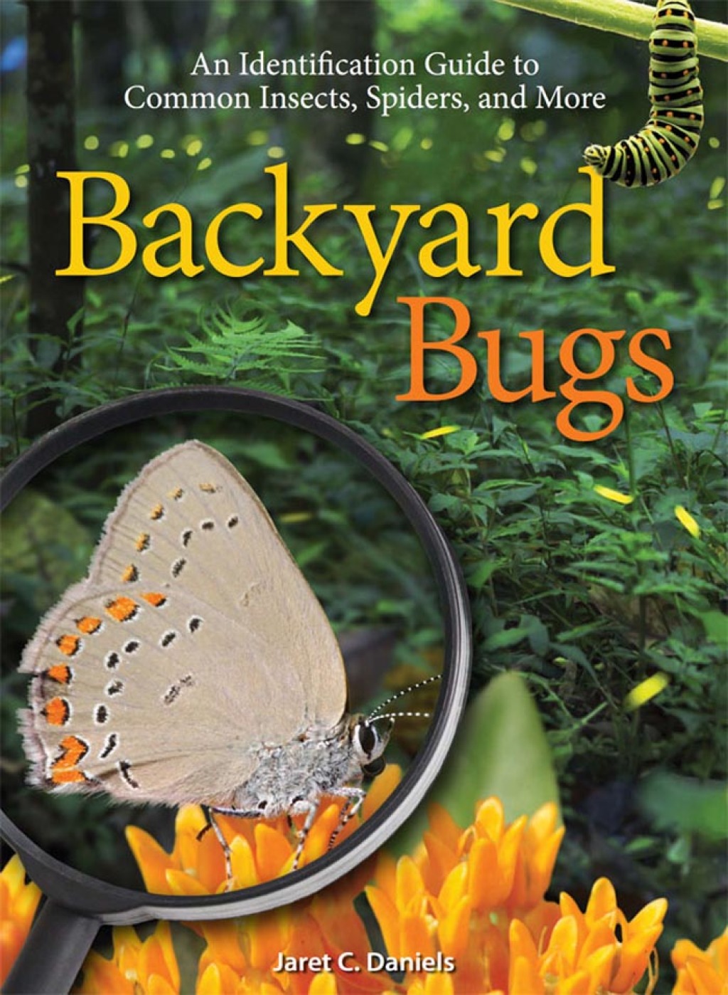 Backyard Bugs (eBook)