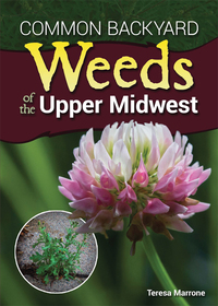 Omslagafbeelding: Common Backyard Weeds of the Upper Midwest 9781591937326