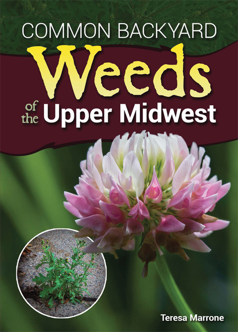 Common Backyard Weeds of the Upper Midwest - FULL INSTANT DOWNLOAD | PDF DOCX EPUB