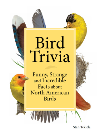 صورة الغلاف: Bird Trivia 9781591938101