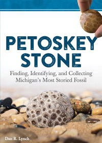 表紙画像: Petoskey Stone 9781591938415