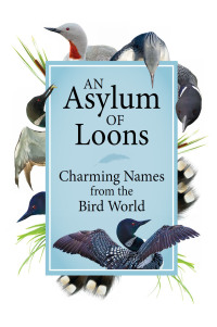 Imagen de portada: An Asylum of Loons 9781591939047