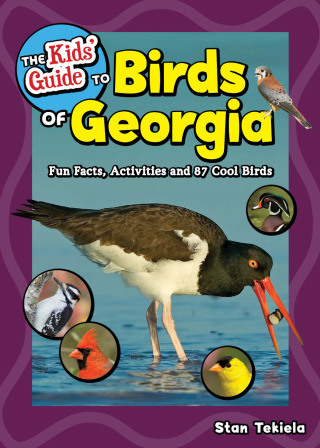 Cover image: The Kids' Guide to Birds of Georgia 9781591939634