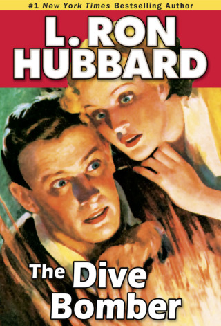 Cover image: The Dive Bomber 9781592123117