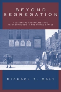 Cover image: Beyond Segregation 9781592131341