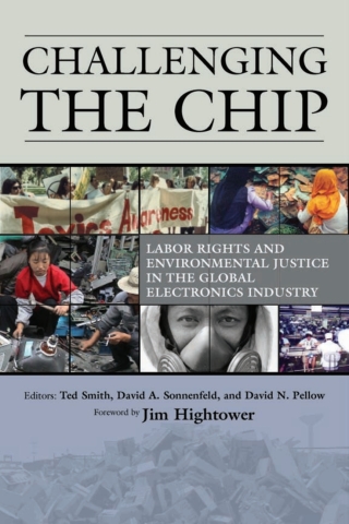 Cover image: Challenging the Chip 9781592133307