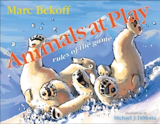 Cover image: Animals at Play 9781592135523